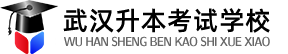 武汉升本考试学校